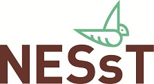 NESsT